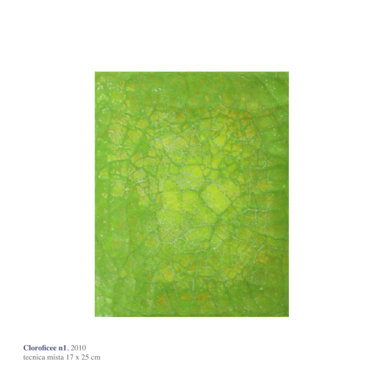 Cloroficee n.1 e n.2