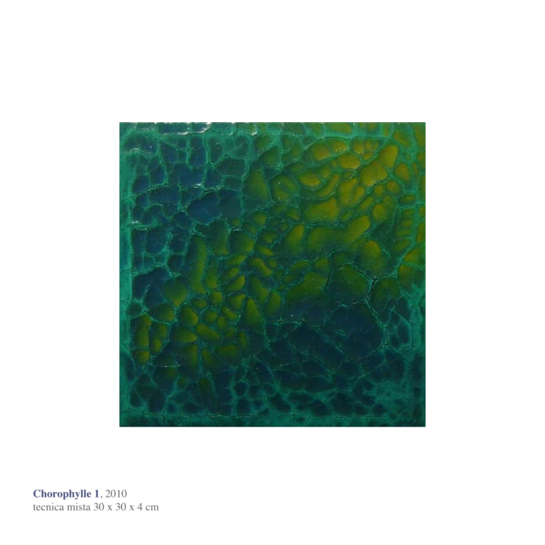 Clorophille 1 e 2