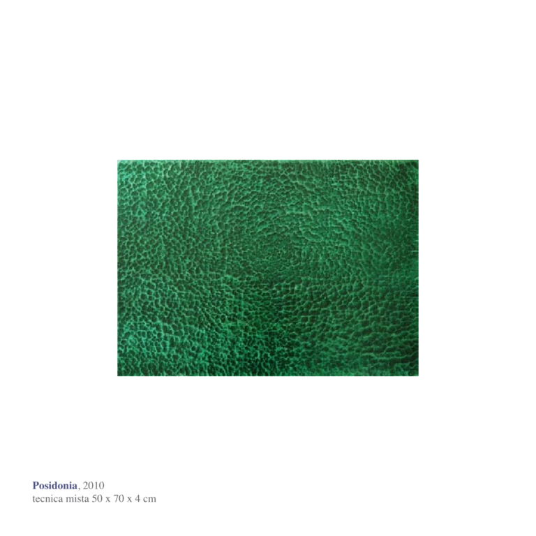 Posidonia